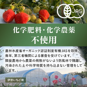 オーガニックあまおう「いせいちご」2パック(280g×2)【伊世いちご畑】_HA1116