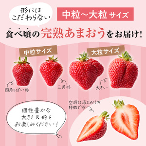 オーガニックあまおう「いせいちご」2パック(280g×2)【伊世いちご畑】_HA1116