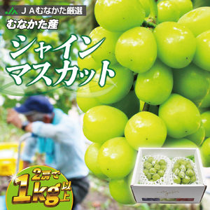 JAむなかた厳選【むなかた産シャインマスカット】2房(1kg以上)【JAほたるの里】_HA0914