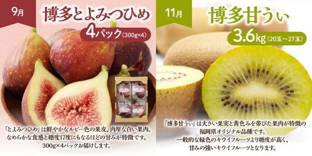 【定期便/年6回】むなかた旬のフルーツ6回定期便【ほたるの里】_HB0090