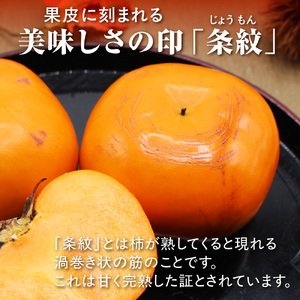 福岡県ブランド柿「秋王」化粧箱約1.75kg【JAほたるの里 福岡県ブランド柿「秋王」化粧箱約1.75kg【JAほたるの里