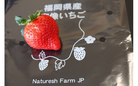 【先行予約】【2025年12月中旬より順次発送】福岡県産 あまおう 4パックセット【ナチュレッシュ・ファーム】_HA1335