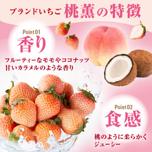 【先行予約】【2025年12月中旬より順次発送】福岡県産 桃薫 2パックセット【ナチュレッシュ・ファーム・ジェイピー】_HA1338