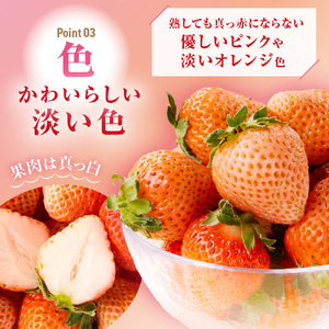 【先行予約】【2025年12月中旬より順次発送】福岡県産 桃薫 2パックセット【ナチュレッシュ・ファーム・ジェイピー】_HA1338