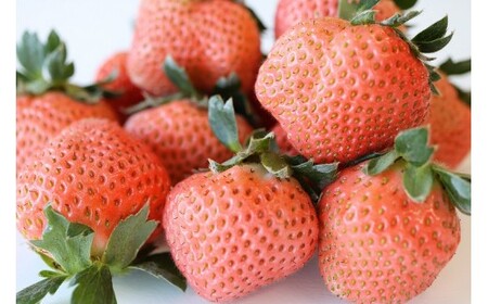 【先行予約】【2025年12月中旬より順次発送】福岡県産　あまおう&桃薫セット【ナチュレッシュ・ファーム・ジェイピー】_HA1339