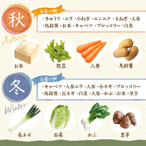 【定期便／年12回／毎月お届け】【道の駅むなかた】 旬のお野菜詰合せセット_HB0124