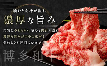 【2024年5月発送】佐賀牛 ＆ 博多和牛 切り落とし 1.2kg (600g×2P) 肉 牛肉 国産 冷凍 バラ 肩