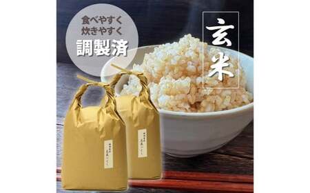 福岡県産 【特A】評価のお米「元気つくし」5kg×2袋(10kg) 玄米