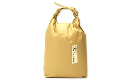福岡県産 【特A】評価のお米「元気つくし」5kg×2袋(10kg) 玄米