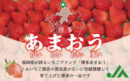 福岡県産 冷凍あまおう 4kg （800g×5パック）あまおう いちご 苺 イチゴ フルーツ 果物