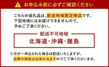 今季初採れあまおう 2パック【数量限定】【2024年12月上旬～2025年1月下旬発送予定】あまおう いちご イチゴ 苺 フルーツ 果物