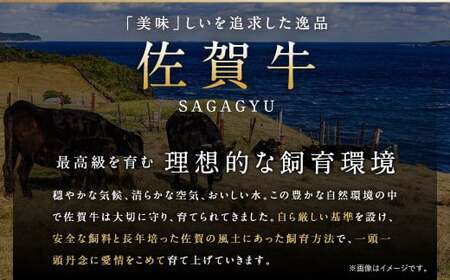 佐賀牛 切り落とし 1.2kg（600g×2パック）【2024年12月発送】和牛 国産 肉 お肉 バラ 肩 セット 選べる 便利 料理 冷凍 九州 福岡