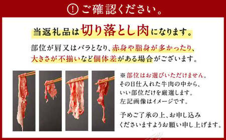 佐賀牛 切り落とし 1.2kg（600g×2パック）【2024年12月発送】和牛 国産 肉 お肉 バラ 肩 セット 選べる 便利 料理 冷凍 九州 福岡