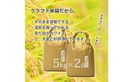 【令和6年産】福岡県産 【特A】評価のお米「元気つくし」5kg×2袋（10kg）白米 精米 お米 米