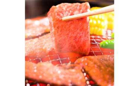 博多和牛 焼肉用 500g 肉 牛肉 バラ 肩ロース モモ 福岡 太宰府