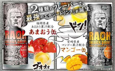 ラオウエナジー あまおう＆マンゴーセット 2ケース／60本入り 「北斗の拳」コラボ エナジードリンク 250ml×30本×2種 計60本 合計15L ラオウ エナジー マンゴー味 博多あまおう味 炭酸飲料 常温 福岡県 太宰府市