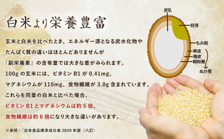 夢つくし 玄米 PREMIUMパック 160g×24パック