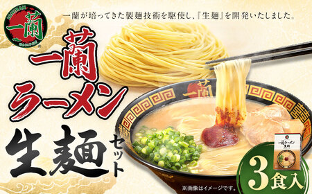 【寄附額改定↓】一蘭ラーメン生麺セット（3食入）一蘭 ラーメン 生麺 麺 豚骨 詰め合わせ