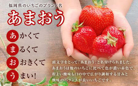 【特別栽培/有機質肥料/アフター保証】うるう農園 あまおう サイズ色々 4パック (約1140g)【2026年2月発送予定】 いちご イチゴ 苺 フルーツ 果物