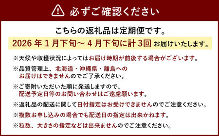 【3回定期便】あまおう 3パック いちご 苺 イチゴ フルーツ 果物【2026年1月下旬~4月下旬発送予定】