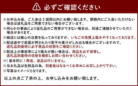 大粒 あまおう 4パック【2026年2月上旬～4月上旬発送予定】