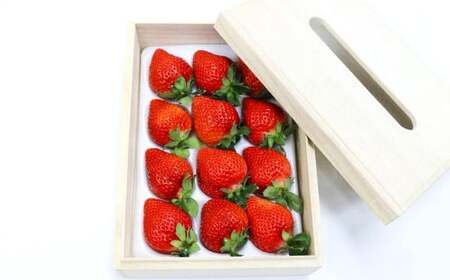 ティッシュボックス用 特別仕様の桐箱入り プレミアム あまおう 約400g×1パック【ギフト・お祝い・贈答用】【2026年2月上旬～4月上旬発送予定】