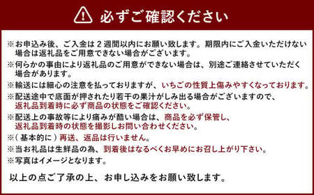 ティッシュボックス用 特別仕様の桐箱入り プレミアム あまおう 約400g×1パック【ギフト・お祝い・贈答用】【2026年2月上旬～4月上旬発送予定】