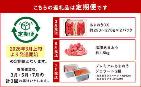 【予約受付・3回定期便】あまおう 贅沢セット いちご イチゴ フルーツ 果物【2026年3月上旬～7月下旬発送予定】