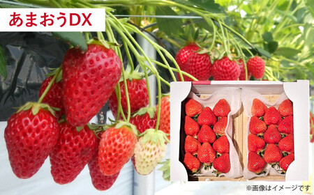 【予約受付・3回定期便】あまおう 贅沢セット いちご イチゴ フルーツ 果物【2026年3月上旬～7月下旬発送予定】