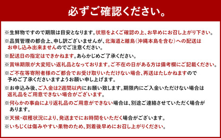 【4回定期便】福岡県 ブランドフルーツ 定期便 あまおう（約280g×4パック）とよみつひめ（約300g×4パック）早味かん（約3kg）秋王（約1.2kg）計6.52kg 果物 いちご 苺 イチゴ 無花果 いちじく イチジク みかん ミカン 蜜柑 柿 カキ かき
