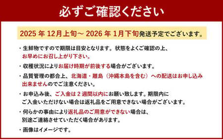 博多 あまおう 4パック（冬）【2025年12月上旬～2026年1月下旬発送予定】