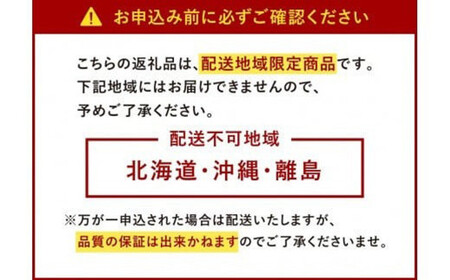 博多 あまおう 4パック（冬）【2025年12月上旬～2026年1月下旬発送予定】