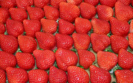 【3回定期便】博多 あまおう 4パック【2026年2月上旬~4月下旬発送予定】