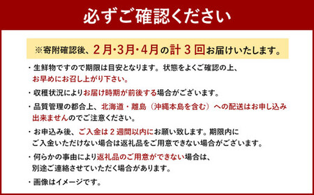 【3回定期便】博多 あまおう 4パック【2026年2月上旬~4月下旬発送予定】