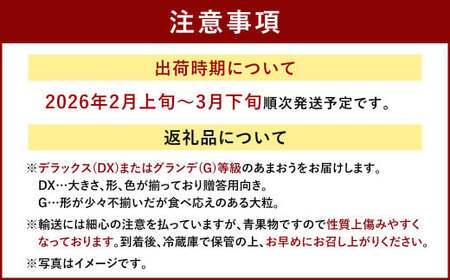  福岡産【春】あまおう3パック いちご フルーツ デザート【2026年2月上旬～3月下旬発送予定】