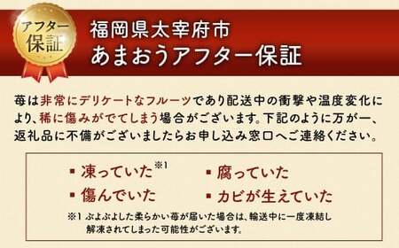 うるう農園のあまおう 4パック ＋ 1パック 合計5パック（約1425g） 訳あり あまおう （小粒・いびつ・大型） 【2026年3月上旬～4月上旬発送予定】 苺 いちご イチゴ 果物 フルーツ デザート 冷蔵