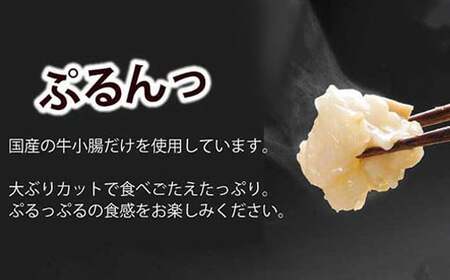 もつ鍋セット 牛もつたっぷり600g！大容量5-6人前(あごだし醤油味) 博多もつ鍋やまや  【2026年1月発送】