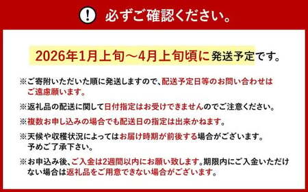 福岡県産 あまおう 約280g×4パック 合計1120g 果物 くだもの フルーツ 苺 いちご イチゴ ストロベリー デザート 福岡県 太宰府市【2026年1月上旬～4月上旬発送予定】