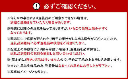 福岡県産 あまおう 約280g×4パック 合計1120g 果物 くだもの フルーツ 苺 いちご イチゴ ストロベリー デザート 福岡県 太宰府市【2026年1月上旬～4月上旬発送予定】
