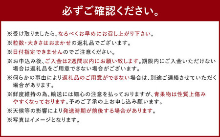 【1月～2月発送】いちごの王様 あまおう 約280g×4パック 約1120g【2026年1月上旬～2026年2月下旬発送予定】 いちご イチゴ 苺 フルーツ