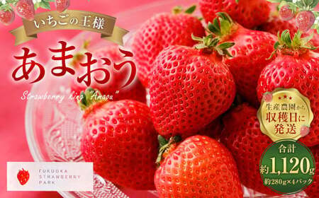 【3月～4月発送】いちごの王様 あまおう 約280g×4パック 約1120g【2026年3月上旬～2026年4月上旬発送予定】 いちご イチゴ 苺 フルーツ