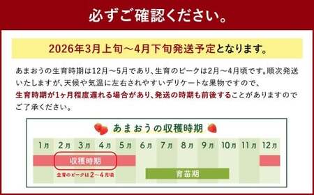 【3月～4月発送】【訳あり・小粒】 あまおう 約280g×4パック 約1120g【2026年3月上旬～2026年4月上旬発送予定】いちご イチゴ 苺 フルーツ
