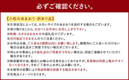 【3月～4月発送】【訳あり・小粒】 あまおう 約280g×4パック 約1120g【2026年3月上旬～2026年4月上旬発送予定】いちご イチゴ 苺 フルーツ