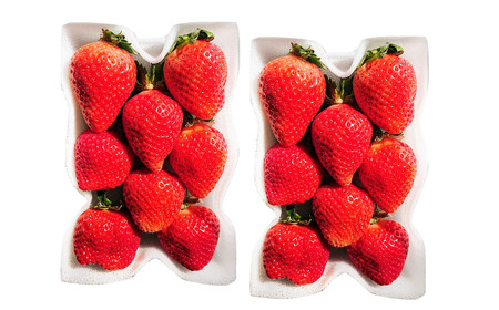 【3ヶ月定期便】 あまおう 2パック×3回 (計6パック) 【2026年2月上旬~4月上旬発送予定】 いちご イチゴ 果物 果実 フルーツ 福岡県 太宰府市 冷蔵