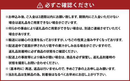 【3ヶ月定期便】 あまおう 2パック×3回 (計6パック) 【2026年2月上旬~4月上旬発送予定】 いちご イチゴ 果物 果実 フルーツ 福岡県 太宰府市 冷蔵