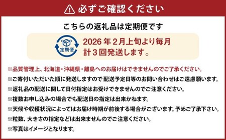 【3ヶ月定期便】 あまおう 2パック×3回 (計6パック) 【2026年2月上旬~4月上旬発送予定】 いちご イチゴ 果物 果実 フルーツ 福岡県 太宰府市 冷蔵