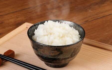 夢つくしパックご飯 （200g×3袋）×8袋 合計24個  パックご飯 パックごはん パックライス お米