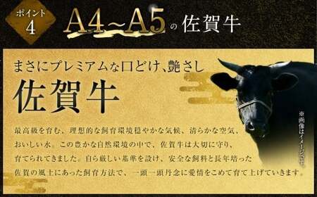 【2025年9月初登場】 佐賀牛 リッチな霜降り 大判 切り落とし 500g  【1月発送】／ 黒毛和牛 和牛 牛肉 お肉 肉 霜降り 九州 福岡県 太宰府市 冷凍