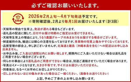 【3回定期便】 うるう農園のあまおう サイズ色々2パック （計約570g） 【2026年2月上旬～4月下旬発送予定】 あまおう いちご 苺 果物 フルーツ 定期便 冷蔵 福岡県 太宰府
