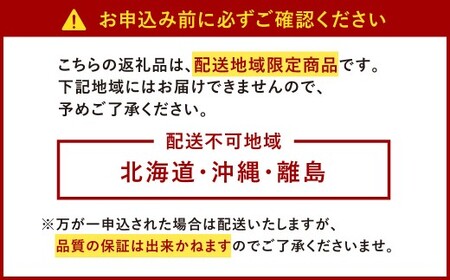 【3回定期便】 うるう農園のあまおう サイズ色々2パック （計約570g） 【2026年2月上旬～4月下旬発送予定】 あまおう いちご 苺 果物 フルーツ 定期便 冷蔵 福岡県 太宰府